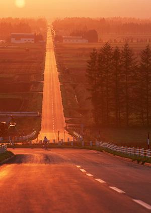 ハイラックスサーフ専門プロショップWEED