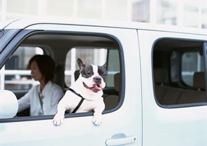 フォークリフトのレンタルの宮崎の会社