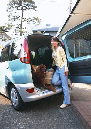 福岡・久留米で安心のトヨタ中古車購入をサポート 【東合川U-Carセンター】の魅力と詳細情報